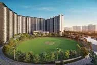 Cricket Field