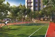 Basketball Court