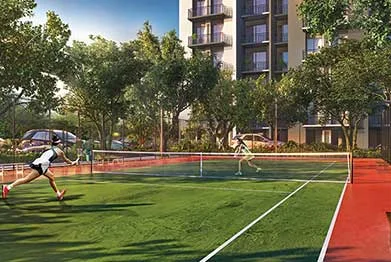 Basketball Court
