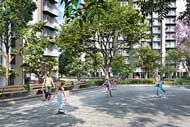 Chess Park