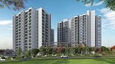 Vaswani Starlight  Live By The Green