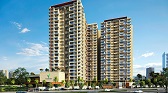 Vaswani Starlight  Live By The Green
