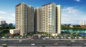 Vaswani Starlight  Live By The Green