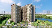 Vaswani Starlight  Live By The Green