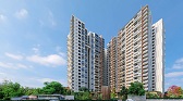 Vaswani Starlight  Live By The Green