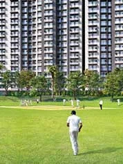 Vaswani Starlight  Live By The Green
