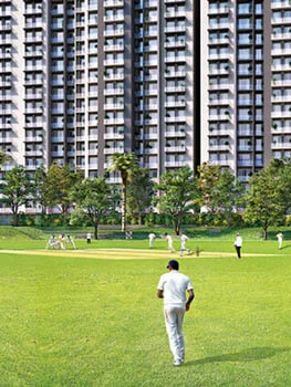 Vaswani Starlight  Live By The Green
