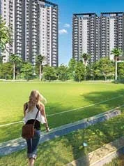 Vaswani Starlight  Live By The Green