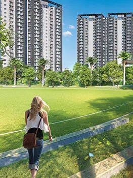 Vaswani Starlight  Live By The Green